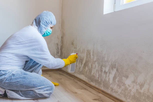 Licensed Crawl Space Mold Removal service in Media, PA - WQB Mold Removal