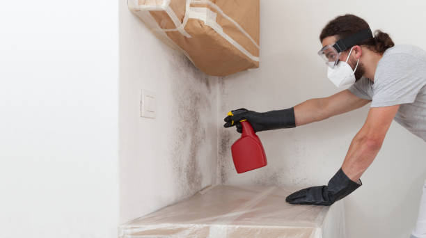 Professional Crawl Space Mold Removal technician working in Media, PA