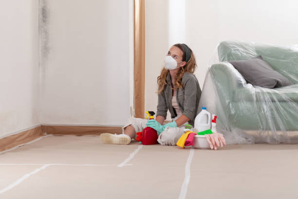 Reliable Crawl Space Mold Removal contractor in Media, PA by WQB Mold Removal
