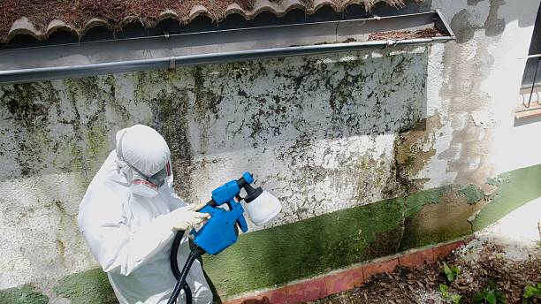 Top rated local Crawl Space Mold Removal specialists in Media, PA